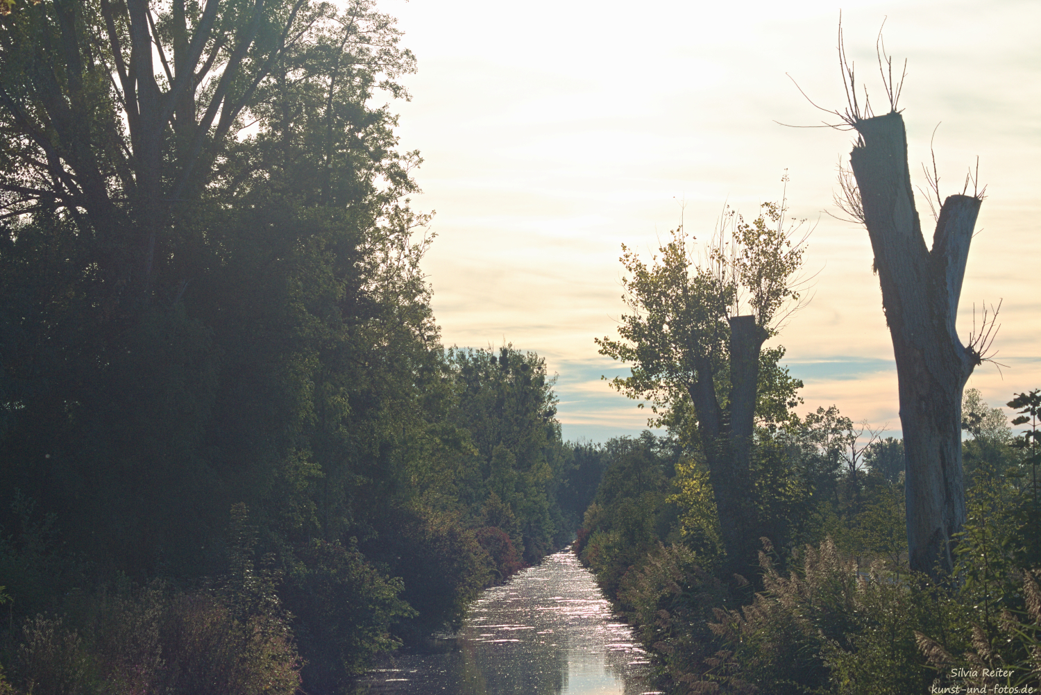 Abend am W&uuml;rmkanal 09.2026