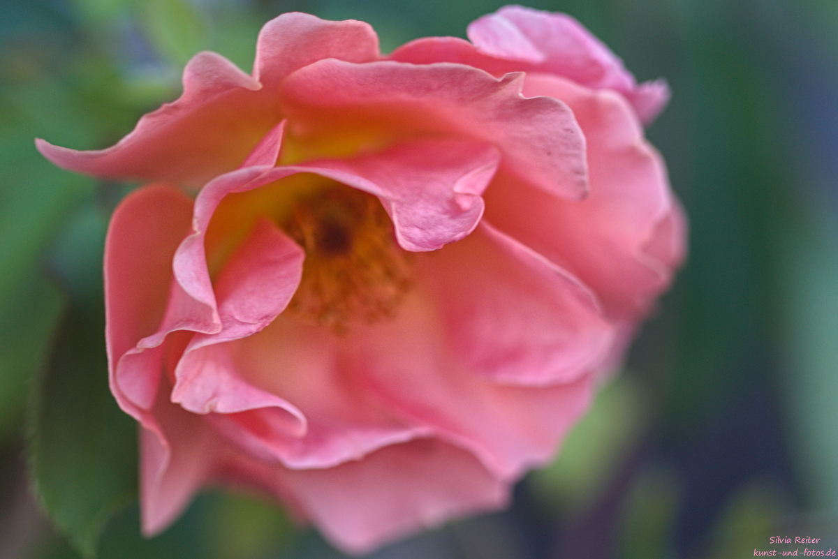 Farbenrausch 08.2025