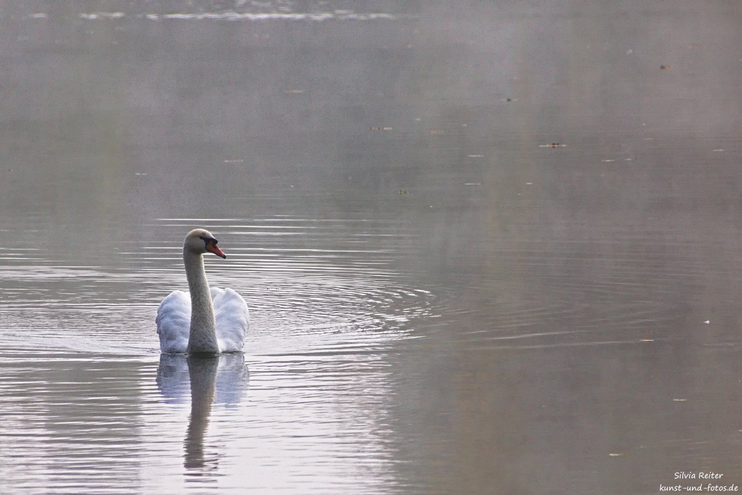 Eichinger Weiher 10.2025