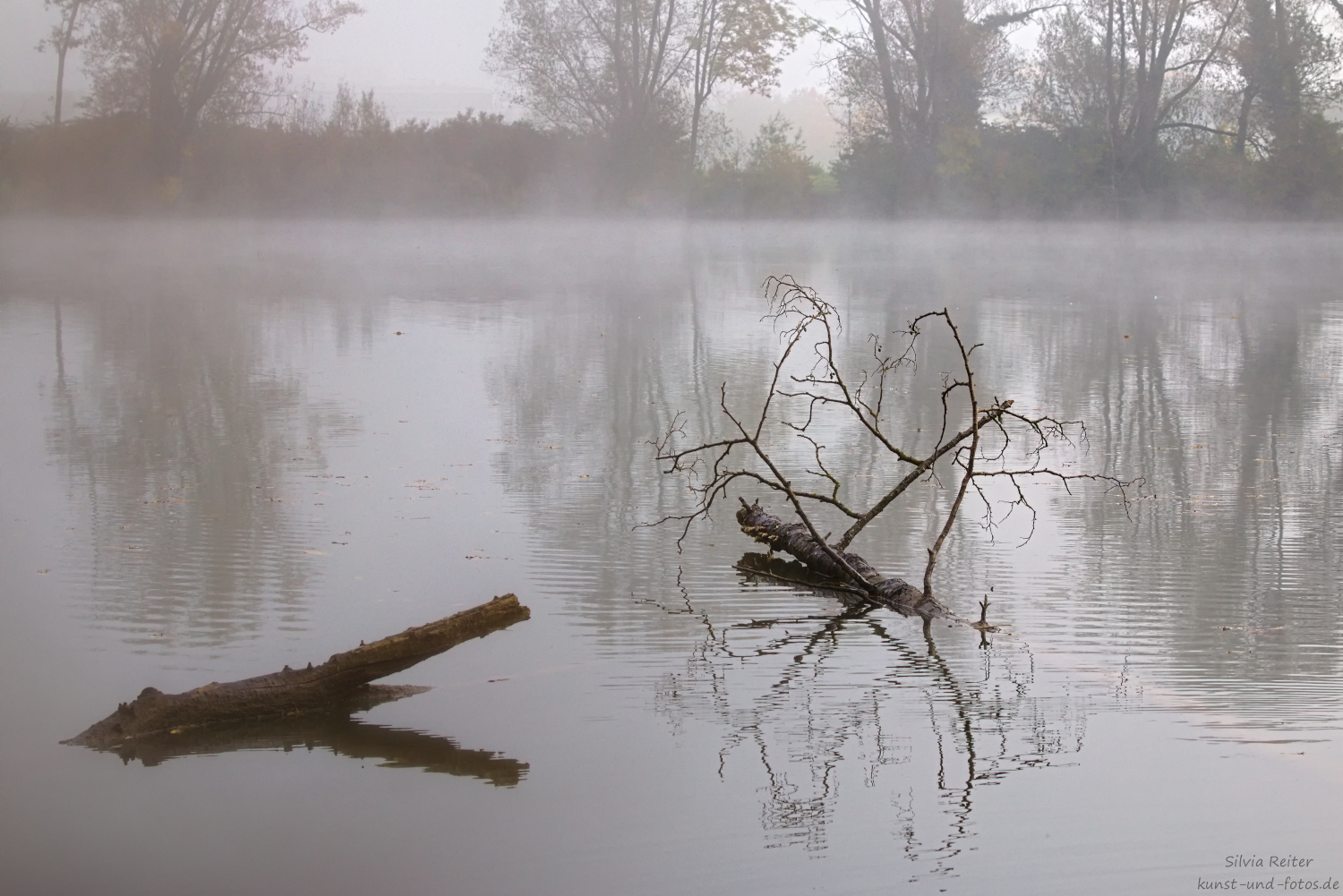 Eichinger Weiher 10.2025