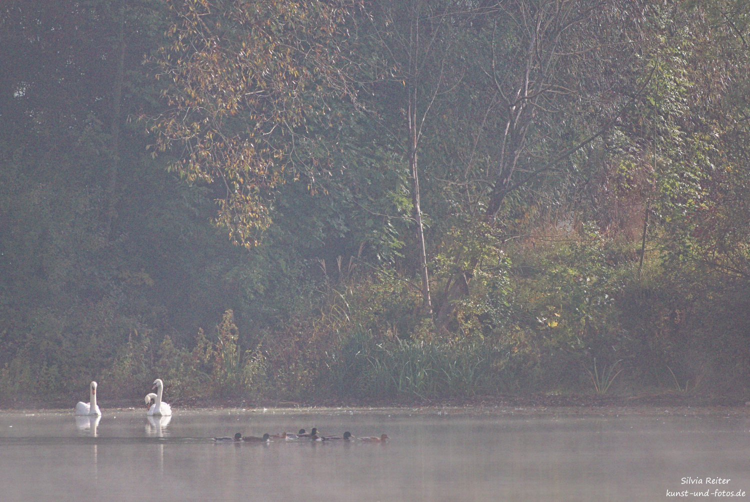 Eichinger Weiher 10.2025