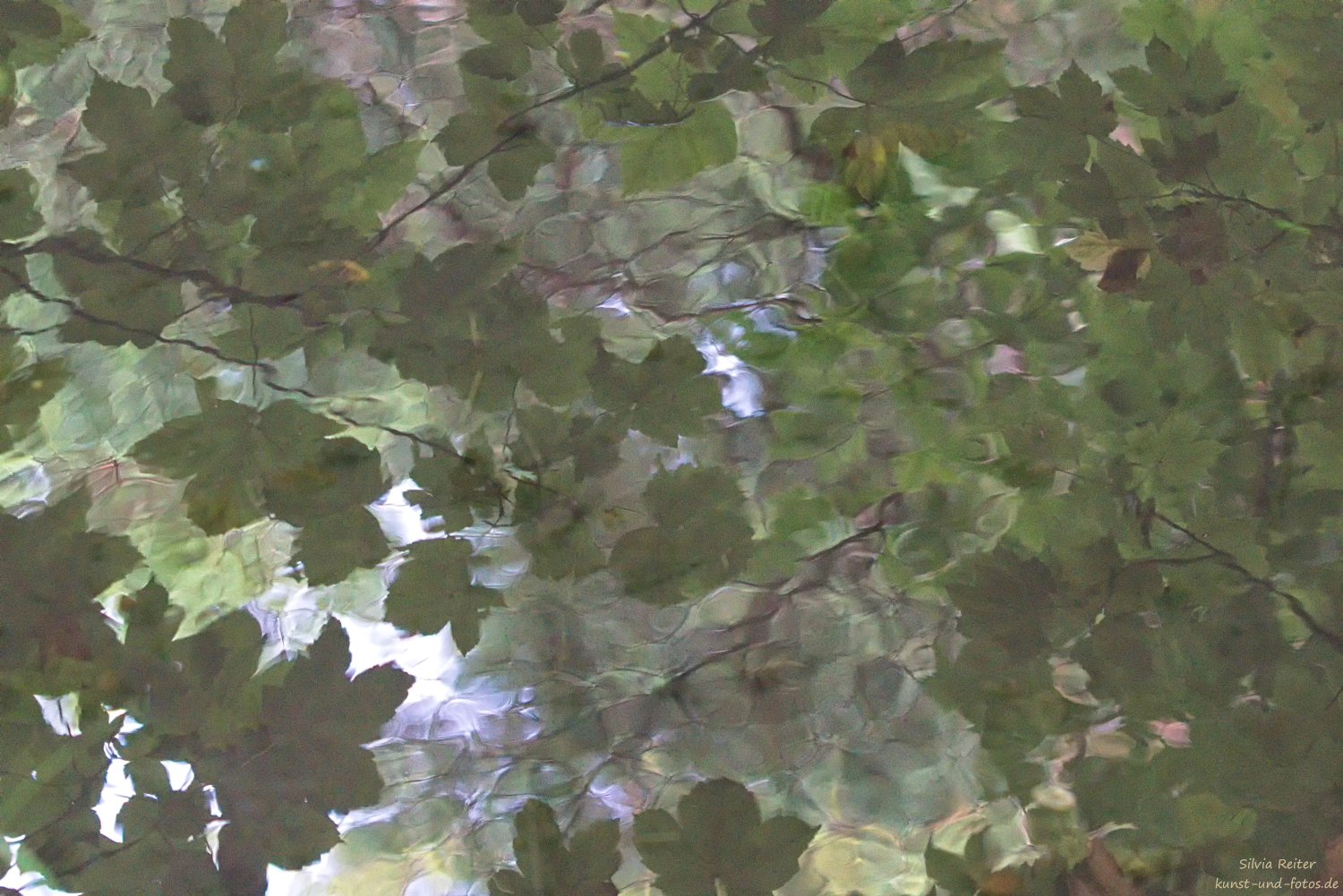 Wasser-Spiegelung 09.2025